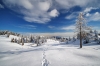 Filename=W25-Velplan-092.jpg
Filesize=158KiB
Dimensions=800x533
Date added=Jan 30, 2010 W25-Velplan-092.jpg