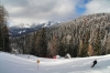 Filename=S14-Spanovvrh-54.jpg
Filesize=189KiB
Dimensions=800x533
Date added=Feb 27, 2010 S14-Spanovvrh-54.jpg