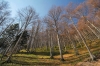Filename=V01-VelPlan-002.jpg
Filesize=207KiB
Dimensions=800x533
Date added=Apr 22, 2011 V01-VelPlan-002.jpg