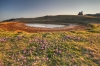 Filename=V20-VelPlan-090-Hpm.jpg
Filesize=249KiB
Dimensions=800x533
Date added=Apr 22, 2011 V20-VelPlan-090-Hpm.jpg