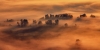 Filename=S34-SvAna-126a.jpg
Filesize=75KiB
Dimensions=800x400
Date added=Jun 18, 2011 S34-SvAna-126a.jpg