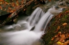 Filename=G16-4potok-54.jpg
Filesize=159KiB
Dimensions=800x533
Date added=Nov 15, 2006 G16-4potok-54.jpg