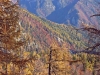 Filename=36-PlanRavne-161.jpg
Filesize=204KiB
Dimensions=800x600
Date added=Nov 16, 2005 36-PlanRavne-161.jpg