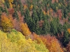 Filename=39-PlanRavne-182.jpg
Filesize=229KiB
Dimensions=800x600
Date added=Nov 16, 2005 39-PlanRavne-182.jpg
