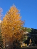 Filename=W03-Brana-016.jpg
Filesize=211KiB
Dimensions=540x720
Date added=Nov 29, 2005 W03-Brana-016.jpg