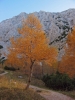 Filename=W04-Brana-018.jpg
Filesize=171KiB
Dimensions=540x720
Date added=Nov 29, 2005 W04-Brana-018.jpg