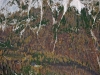 Filename=W18-Brana-064.jpg
Filesize=194KiB
Dimensions=800x600
Date added=Nov 29, 2005 W18-Brana-064.jpg