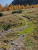 Filename=W49-Brana-203.jpg
Filesize=190KiB
Dimensions=540x720
Date added=Nov 29, 2005 W49-Brana-203.jpg