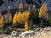Filename=W51-Brana-205.jpg
Filesize=199KiB
Dimensions=800x600
Date added=Nov 29, 2005 W51-Brana-205.jpg