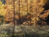 Filename=W53-Brana-215.jpg
Filesize=248KiB
Dimensions=800x600
Date added=Nov 29, 2005 W53-Brana-215.jpg