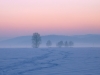 Filename=G01-Groblje-03-WNI.jpg
Filesize=82KiB
Dimensions=800x600
Date added=Dec 30, 2005 G01-Groblje-03-WNI.jpg
