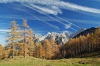 Filename=B15-3Vrsic-008.jpg
Filesize=198KiB
Dimensions=800x533
Date added=Dec 14, 2006 B15-3Vrsic-008.jpg