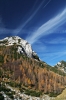 Filename=B31-3Vrsic-078.jpg
Filesize=180KiB
Dimensions=480x720
Date added=Dec 14, 2006 B31-3Vrsic-078.jpg