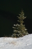 Filename=G30-4PlJezero-101.jpg
Filesize=119KiB
Dimensions=480x720
Date added=Nov 29, 2006 G30-4PlJezero-101.jpg