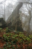 Filename=P08-Socerb-086.jpg
Filesize=159KiB
Dimensions=480x720
Date added=Dec 14, 2006 P08-Socerb-086.jpg