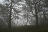 Filename=P26-Socerb-189.jpg
Filesize=193KiB
Dimensions=800x533
Date added=Dec 14, 2006 P26-Socerb-189.jpg