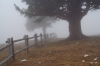 Filename=K01-Krvavec-003.jpg
Filesize=140KiB
Dimensions=800x533
Date added=Dec 03, 2006 K01-Krvavec-003.jpg