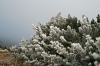 Filename=K19-Krvavec-056.jpg
Filesize=172KiB
Dimensions=800x533
Date added=Dec 03, 2006 K19-Krvavec-056.jpg