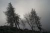 Filename=K35-Krvavec-108.jpg
Filesize=122KiB
Dimensions=800x533
Date added=Dec 03, 2006 K35-Krvavec-108.jpg