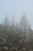 Filename=K36-Krvavec-113.jpg
Filesize=114KiB
Dimensions=480x720
Date added=Dec 03, 2006 K36-Krvavec-113.jpg