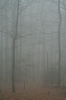 Filename=K40-Krvavec-132.jpg
Filesize=119KiB
Dimensions=480x720
Date added=Dec 03, 2006 K40-Krvavec-132.jpg