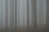 Filename=K41-Krvavec-135.jpg
Filesize=142KiB
Dimensions=800x533
Date added=Dec 03, 2006 K41-Krvavec-135.jpg