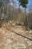Filename=L03-Lubnik-015.jpg
Filesize=204KiB
Dimensions=480x720
Date added=Apr 08, 2007 L03-Lubnik-015.jpg