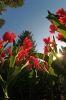 Filename=M14-MozirskiGaj-100.jpg
Filesize=156KiB
Dimensions=480x720
Date added=May 10, 2007 M14-MozirskiGaj-100.jpg