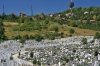 Filename=S33-1Sarajevo-72.jpg
Filesize=198KiB
Dimensions=800x533
Date added=Dec 15, 2007 S33-1Sarajevo-72.jpg