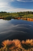 Filename=R13-Rogla-098.jpg
Filesize=169KiB
Dimensions=480x720
Date added=Sep 30, 2007 R13-Rogla-098.jpg