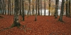Filename=B11-Bohinj-097.jpg
Filesize=212KiB
Dimensions=800x400
Date added=Dec 07, 2007 B11-Bohinj-097.jpg