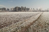 Filename=M01-Menges-013.jpg
Filesize=197KiB
Dimensions=800x533
Date added=Dec 01, 2007 M01-Menges-013.jpg