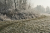 Filename=M10-Menges-045.jpg
Filesize=206KiB
Dimensions=800x533
Date added=Dec 01, 2007 M10-Menges-045.jpg