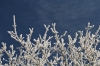 Filename=M13-Menges-067.jpg
Filesize=181KiB
Dimensions=800x533
Date added=Dec 01, 2007 M13-Menges-067.jpg