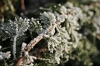 Filename=M24-Menges-136.jpg
Filesize=159KiB
Dimensions=800x533
Date added=Dec 01, 2007 M24-Menges-136.jpg