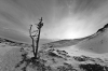 Filename=V20-VelikaPlan-116bw.jpg
Filesize=124KiB
Dimensions=800x533
Date added=Jan 14, 2008 V20-VelikaPlan-116bw.jpg