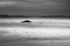 Filename=V25-VelikaPlan-147bw.jpg
Filesize=97KiB
Dimensions=800x533
Date added=Jan 14, 2008 V25-VelikaPlan-147bw.jpg