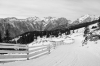 Filename=V26-VelikaPlan-150bw.jpg
Filesize=143KiB
Dimensions=800x533
Date added=Jan 14, 2008 V26-VelikaPlan-150bw.jpg