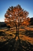 Filename=S01-Sorica-02.jpg
Filesize=193KiB
Dimensions=480x720
Date added=Oct 06, 2008 S01-Sorica-02.jpg