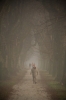 Filename=G13-Groblje-59.jpg
Filesize=116KiB
Dimensions=480x720
Date added=Dec 02, 2008 G13-Groblje-59.jpg