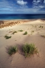 Filename=G57-5Sotavento-227.jpg
Filesize=174KiB
Dimensions=480x720
Date added=Jun 08, 2009 G57-5Sotavento-227.jpg