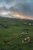 Filename=P25-Velplan-120.jpg
Filesize=110KiB
Dimensions=480x720
Date added=Jul 12, 2009 P25-Velplan-120.jpg