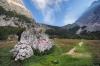 Filename=B01-Brana-001.jpg
Filesize=179KiB
Dimensions=800x533
Date added=Sep 25, 2009 B01-Brana-001.jpg