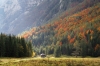 Filename=G22-Krma-197.jpg
Filesize=182KiB
Dimensions=800x533
Date added=Oct 14, 2009 G22-Krma-197.jpg