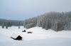 Filename=P11-Pokljuka-006.jpg
Filesize=130KiB
Dimensions=800x533
Date added=Feb 18, 2010 P11-Pokljuka-006.jpg