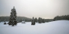 Filename=P12-Pokljuka-011.jpg
Filesize=79KiB
Dimensions=800x400
Date added=Feb 18, 2010 P12-Pokljuka-011.jpg