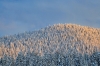 Filename=P21-Pokljuka-048.jpg
Filesize=200KiB
Dimensions=800x533
Date added=Feb 18, 2010 P21-Pokljuka-048.jpg