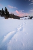 Filename=P30-Pokljuka-101.jpg
Filesize=84KiB
Dimensions=480x720
Date added=Feb 18, 2010 P30-Pokljuka-101.jpg