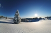 Filename=W24-Velplan-087.jpg
Filesize=129KiB
Dimensions=800x533
Date added=Jan 30, 2010 W24-Velplan-087.jpg