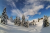 Filename=W27-Velplan-104.jpg
Filesize=166KiB
Dimensions=800x533
Date added=Jan 30, 2010 W27-Velplan-104.jpg